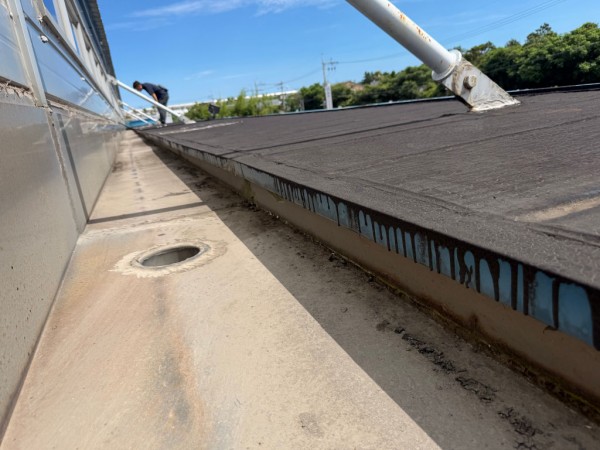 thumbe7b337fb92eecbecbdf8d64ff1fed488_1790057572_4483.jpg